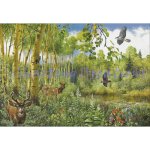 Aspen Ecosystem (image for) Aspen Ecosystem