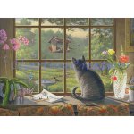 Birdwatching (image for) Birdwatching