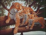 African Leopard and Cubs (image for) African Leopard and Cubs