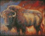 American Icon Bison (image for) American Icon Bison