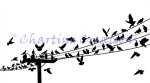 Birds On A Wire (image for) Birds On A Wire