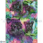 Day Dream Panthers (image for) Day Dream Panthers