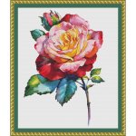 A Rose By Any Other Name (image for) A Rose By Any Other Name