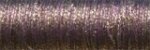 5845 - Golden Cabernet Very Fine (#4) Krenik Braid (image for) 5845 - Golden Cabernet Very Fine (#4) Krenik Braid