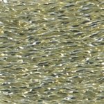 405 - Multi-Cream Rainbow (image for) 405 - Multi-Cream Rainbow